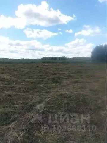 Участок в Челябинская область, Аргаяшский район, Кузнецкое с/пос, с. ... - Фото 1