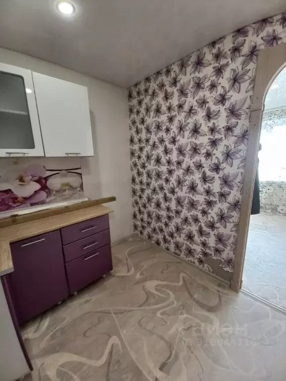 Комната Новосибирская область, Новосибирск ул. Ползунова, 31 (16.8 м) - Фото 1