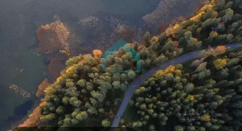 Участок в Новгородская область, Валдайский район, Ивантеевское с/пос, ... - Фото 2