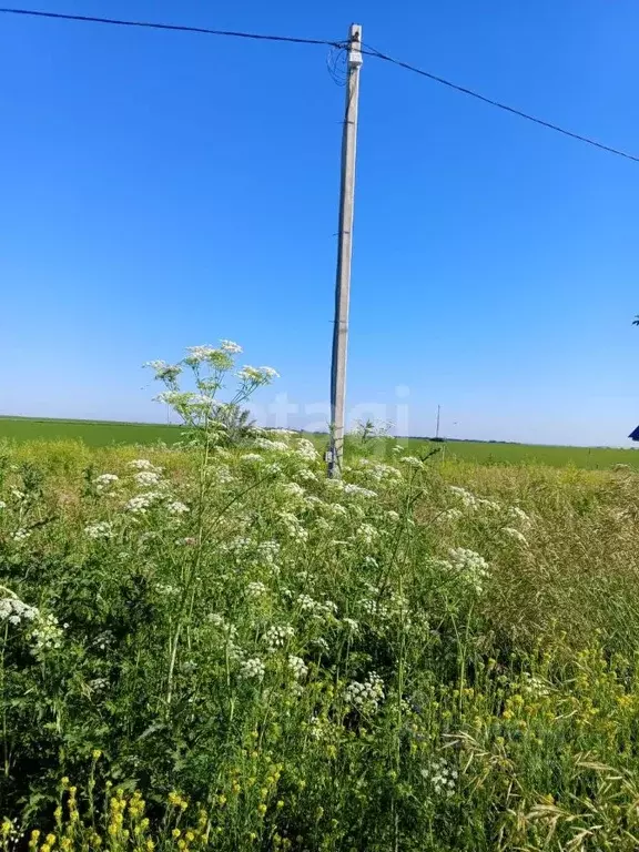 Участок в Алтайский край, Белокуриха ул. Питерская, 91 (7.0 сот.) - Фото 0