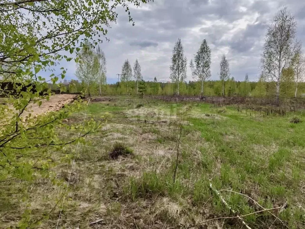 Участок в Челябинская область, Сосновский район, Кременкульское с/пос, ... - Фото 0