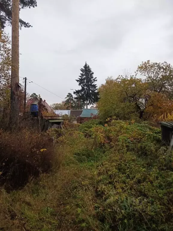 Участок в Московская область, Королев Первомайский мкр, Пролетарская ... - Фото 2