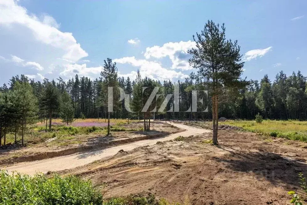 Участок в Ленинградская область, Приозерский район, Громовское с/пос, ... - Фото 1