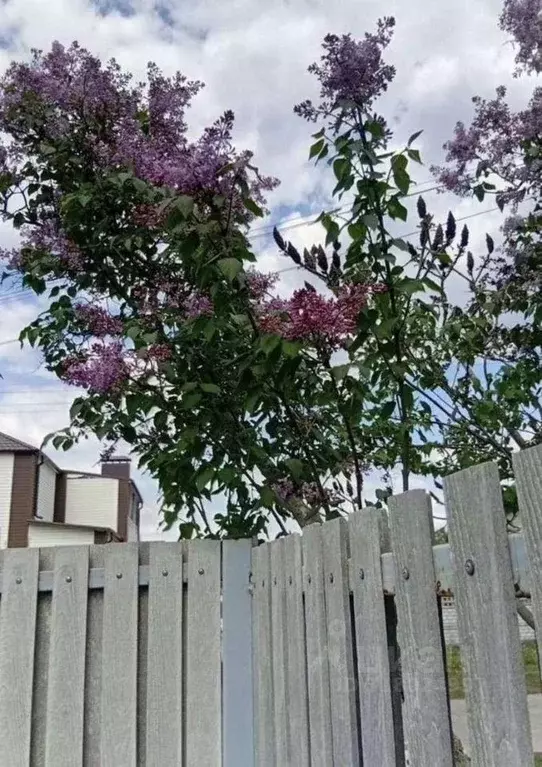 Дом в Белгородская область, Белгородский район, Комсомольское с/пос, ... - Фото 0