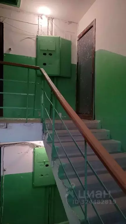 3-к кв. Нижегородская область, Богородский муниципальный округ, д. ... - Фото 2