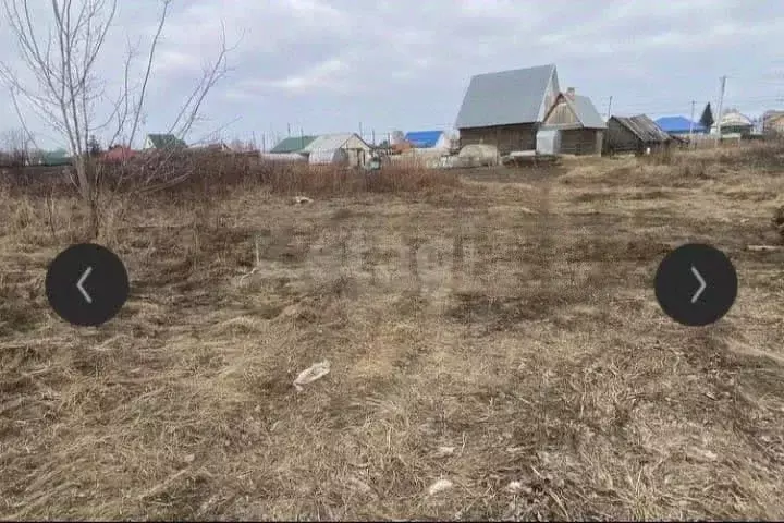 Участок в Тюменская область, с. Нижняя Тавда ул. Герцена (15.0 сот.) - Фото 0