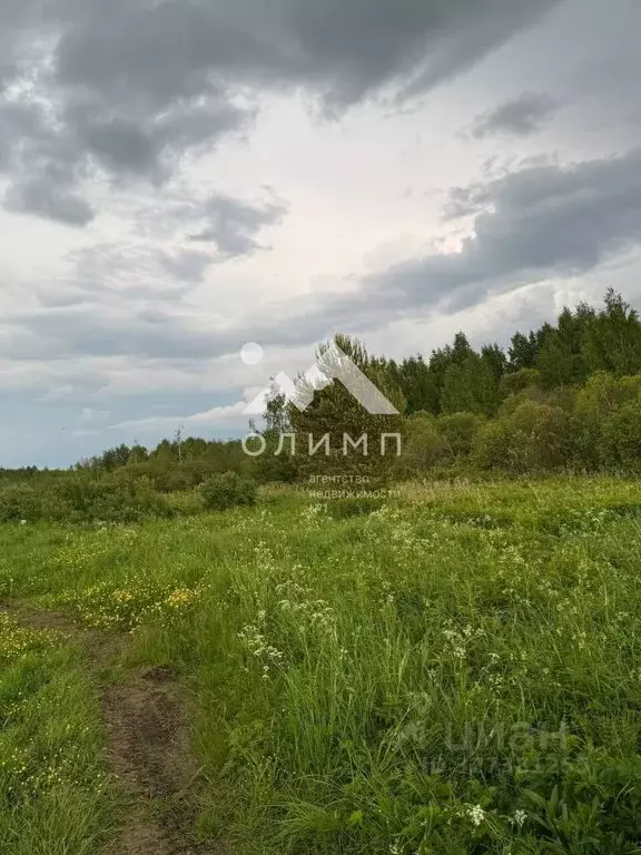 Участок в Вологодская область, д. Новое (Борисовский сельсовет)  (29.0 ... - Фото 2