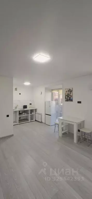 Студия Хабаровский край, Хабаровск ул. Суворова, 40/1 (26.4 м) - Фото 1