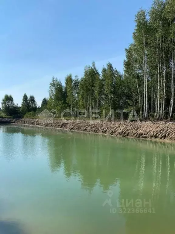 Участок в Тюменская область, Нижнетавдинский муниципальный округ, ... - Фото 1