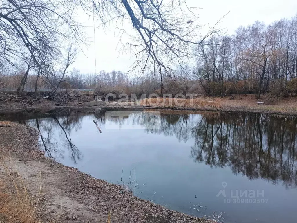 Участок в Воронежская область, Семилукское с/пос, с. Ендовище ул. ... - Фото 0