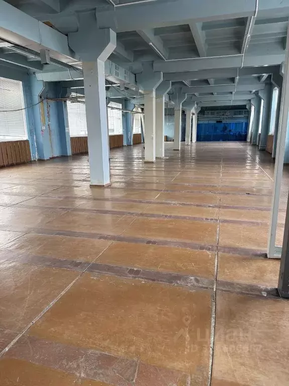 Помещение свободного назначения в Ростовская область, Шахты просп. ... - Фото 2