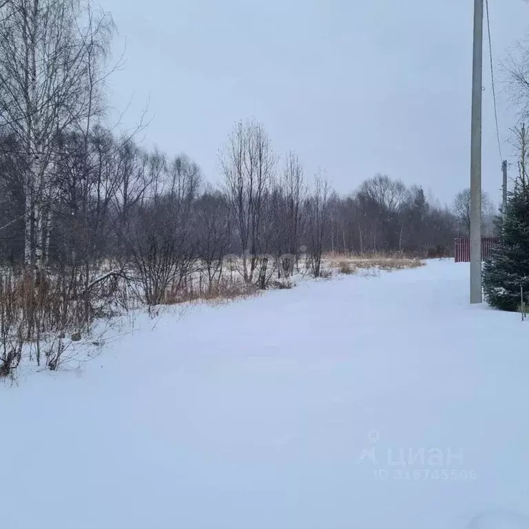 Участок в Ярославская область, Некрасовское с/пос, с. Новодашково  ... - Фото 1