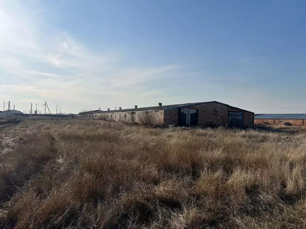 Участок в Ростовская область, Азовский район, с. Пешково ул. Карла ... - Фото 1