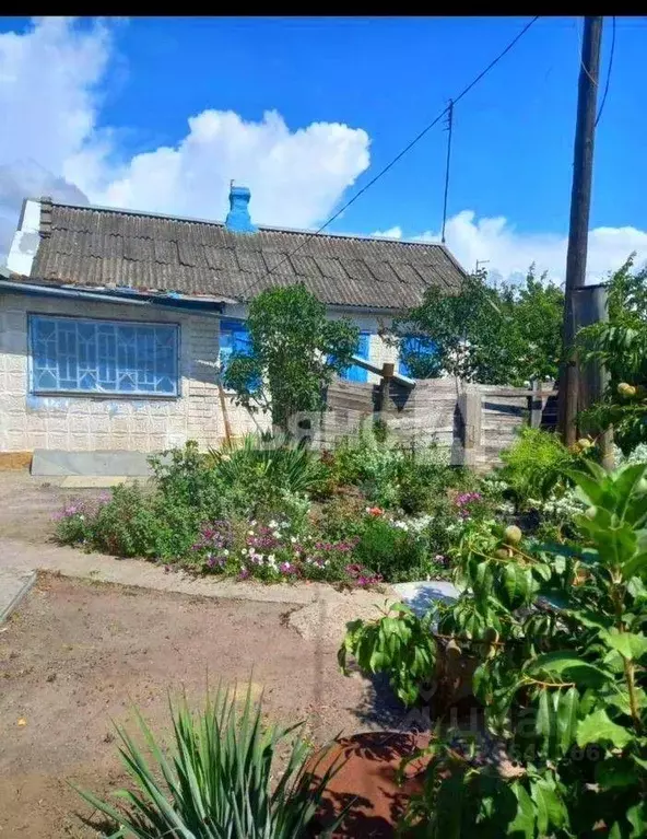 Дом в Краснодарский край, Тимашевск Выборная ул., 18 (34 м) - Фото 0