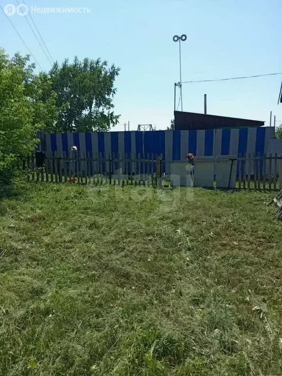 Участок в Новосибирск, садовое товарищество Нива, Вишнёвая улица (4 м) - Фото 1
