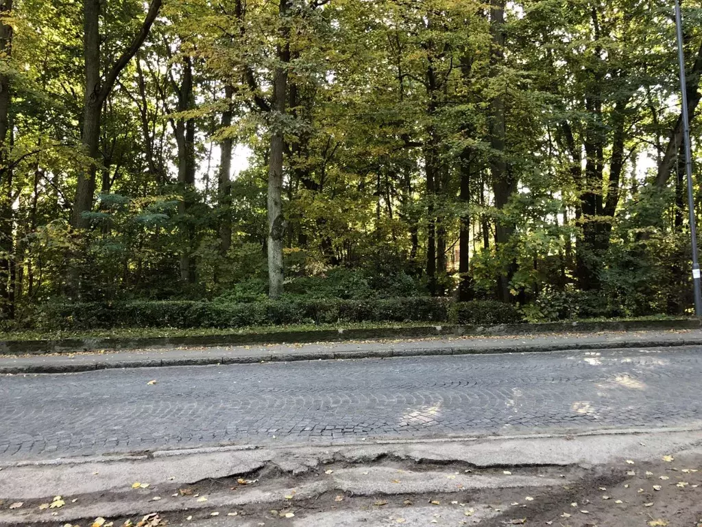 Участок в Калининградская область, Светлогорск Калининградский просп. ... - Фото 2