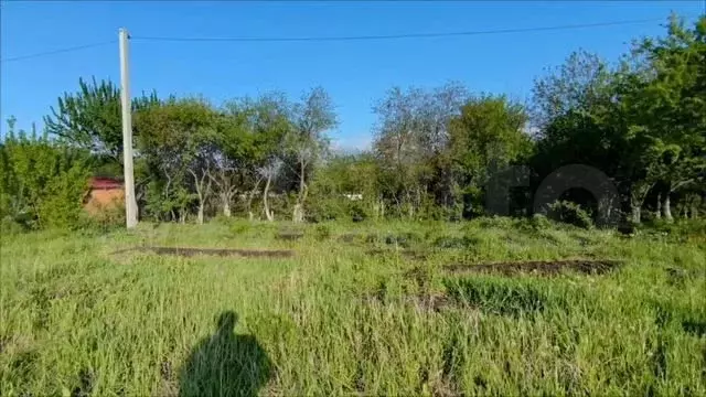 Участок 6,4 сот. (СНТ, ДНП) - Фото 1