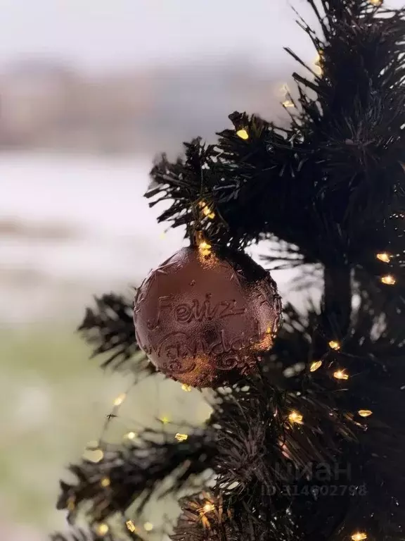 Дом в Московская область, Домодедово городской округ, д. Минаево, ... - Фото 2