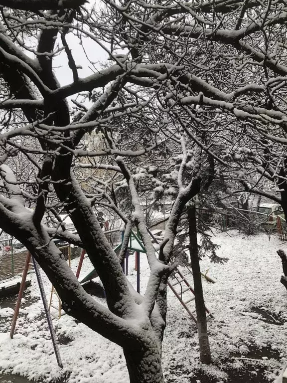 Комната Ставропольский край, Ставрополь № 4 мкр, ул. Объездная, 12 - Фото 1