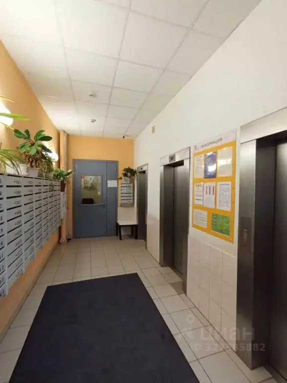 Студия Санкт-Петербург Лыжный пер., 4к3 (22.2 м) - Фото 2