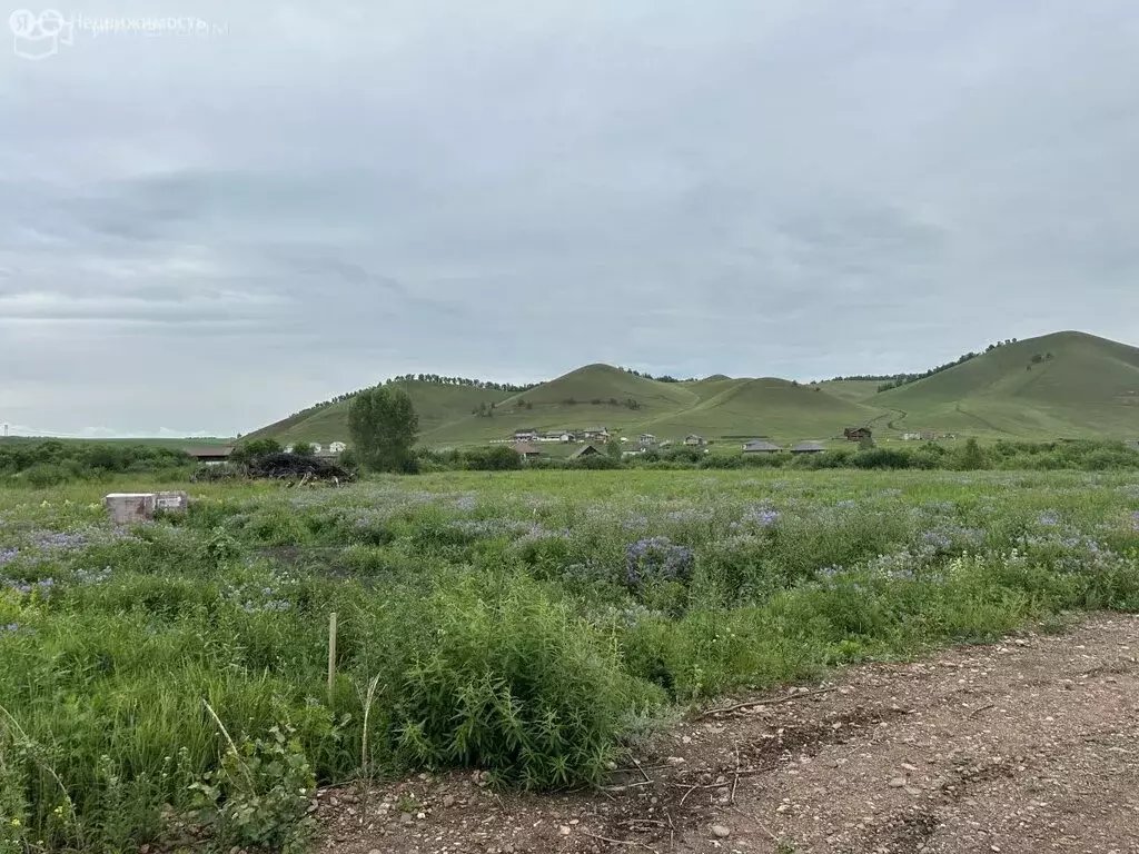 Участок в Солонцовский сельсовет (6 м) - Фото 0