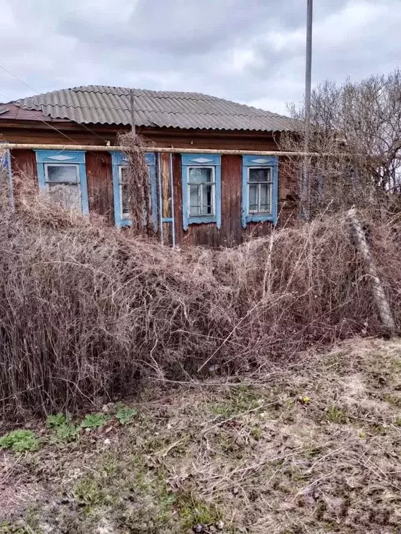 Дом в Мордовия, Ичалковский район, с. Ичалки Октябрьская ул., 77 (26 ... - Фото 0