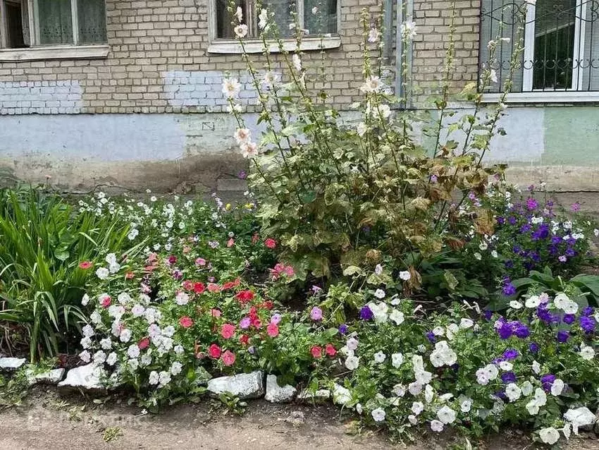 Продаётся 1-к квартира, 30 м - Фото 0