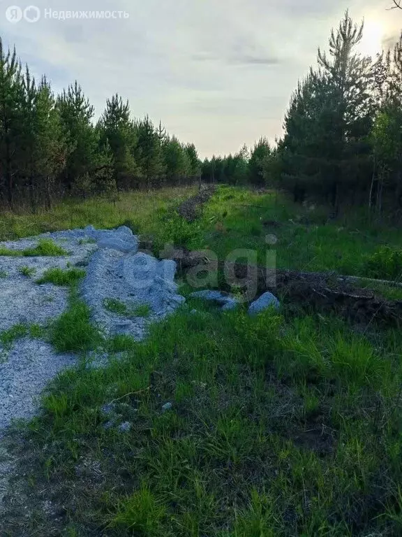 Участок в Усть-Ницинское сельское поселение (100 м) - Фото 2
