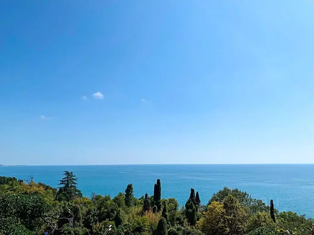 Таунхаус в Краснодарский край, Сочи Курортный просп., 108/10 (200 м) - Фото 1