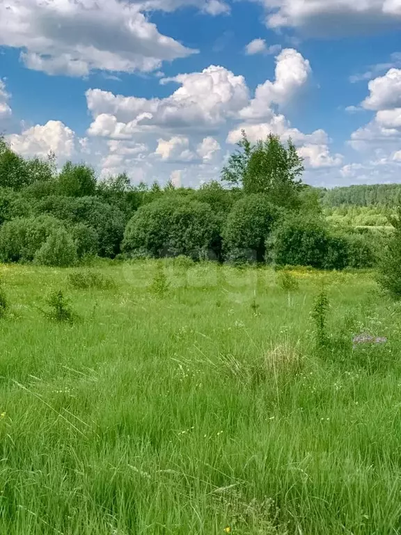 Участок в Ярославская область, Мышкинский муниципальный округ, с. Учма ... - Фото 1