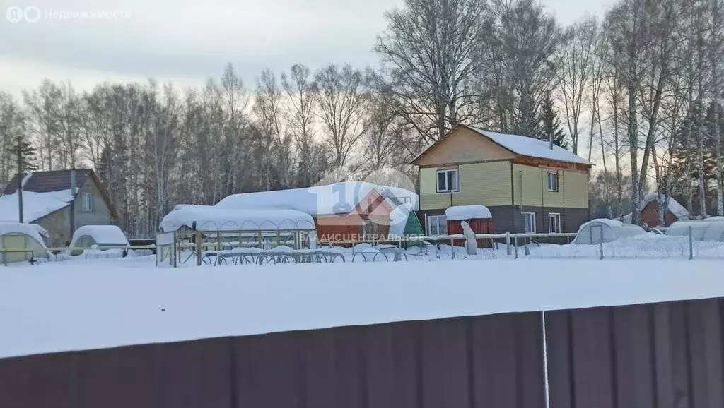 Участок в Новосибирск, СНТ Радист (8 м) - Фото 2