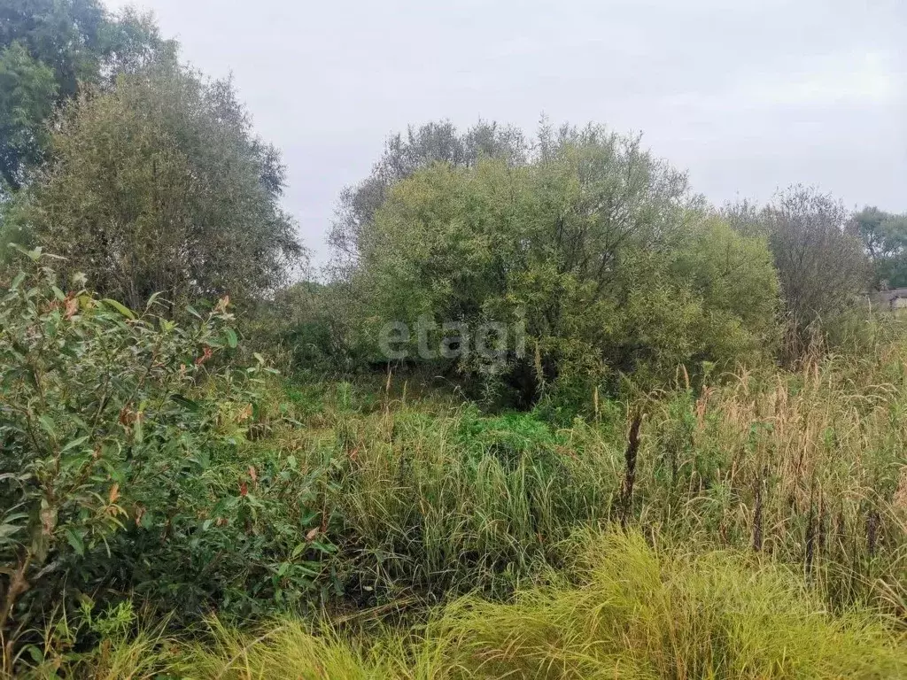 Участок в Приморский край, Уссурийский городской округ, с. Долины  ... - Фото 0