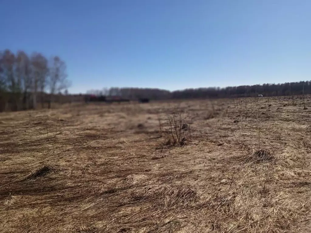 Участок в Московская область, Ступино городской округ, д. Акатово ул. ... - Фото 1