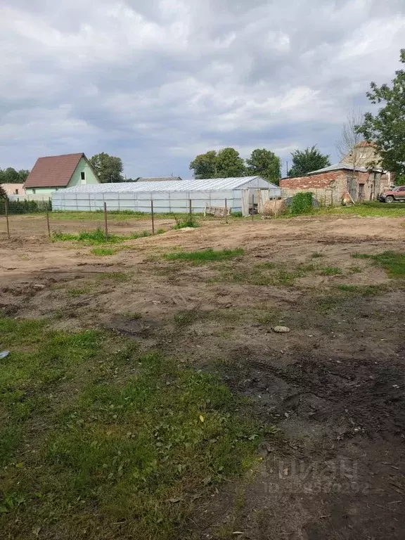 Участок в Калининградская область, Зеленоградский муниципальный округ, ... - Фото 2