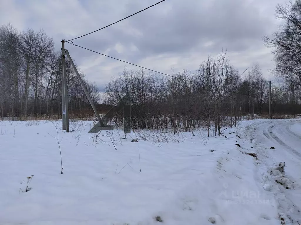Участок в Тюменская область, Нижнетавдинский район, д. Московка  ... - Фото 1