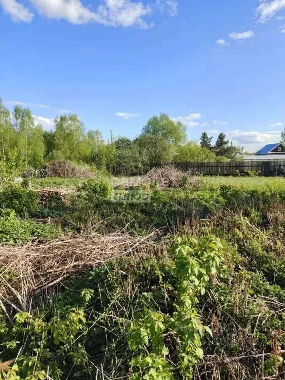 Участок в Нижегородская область, Бор муниципальный округ, пос. ... - Фото 1