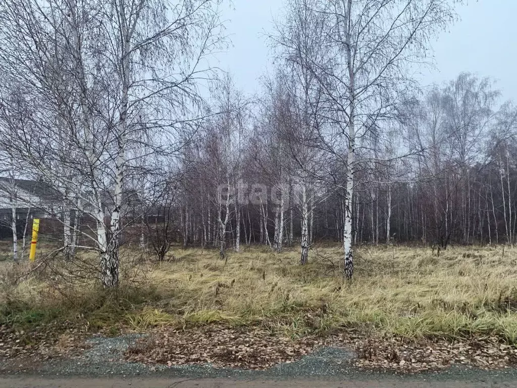 Участок в Челябинская область, Копейск ул. Радужная (13.0 сот.) - Фото 1