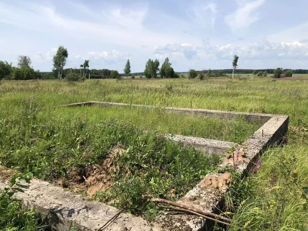 Участок в Московская область, Кашира городской округ, д. Кокино ул. ... - Фото 0