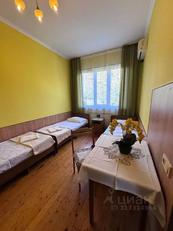 Комната Краснодарский край, Сочи ул. Ленина, 219/11 (18.0 м) - Фото 1