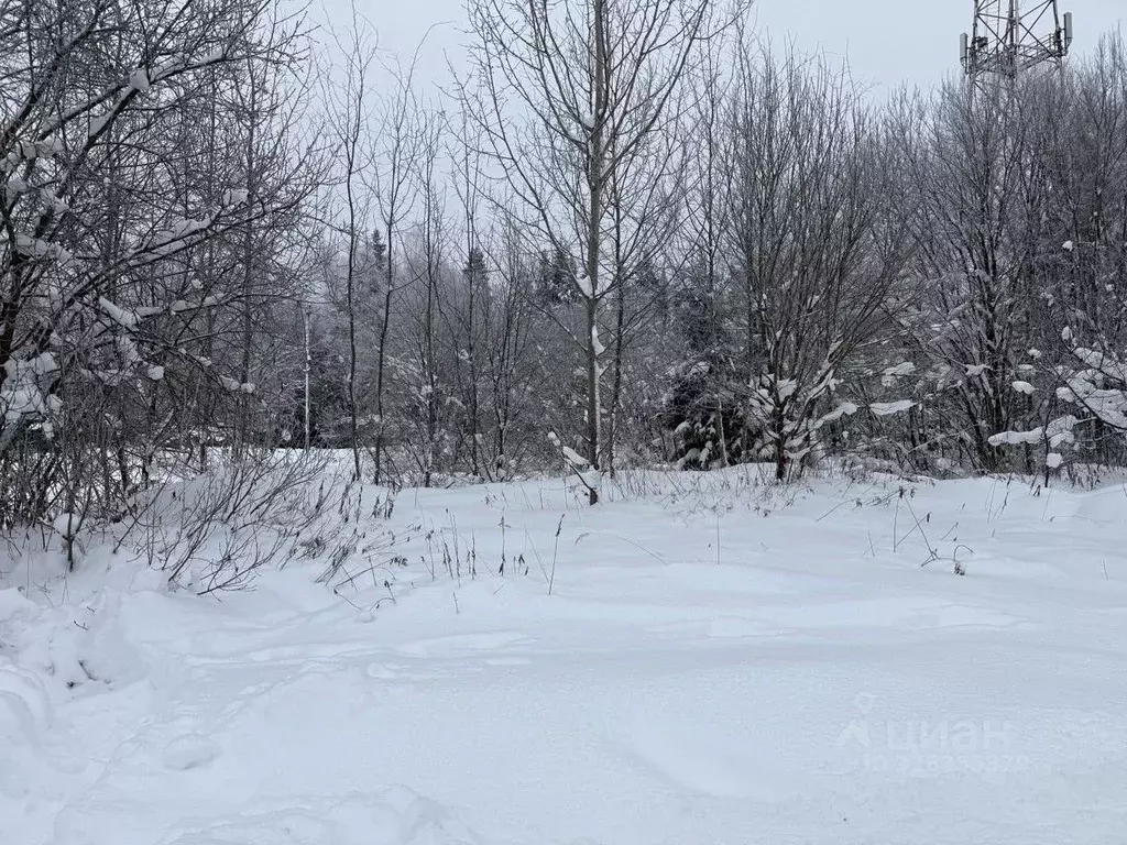 Участок в Московская область, Одинцовский городской округ, д. Чигасово ... - Фото 1