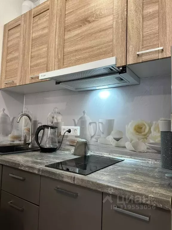 Студия Москва Тюменский проезд, 3к6 (21.0 м) - Фото 1