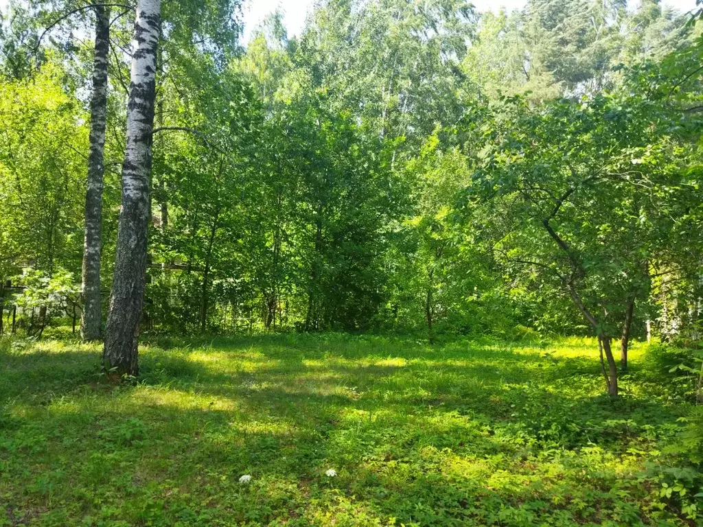 Дом в Санкт-Петербург просп. Коннолахтинский, 10к10 (93 м) - Фото 1