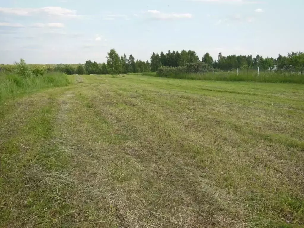 Участок в Владимирская область, Судогодский район, Головинское ... - Фото 0