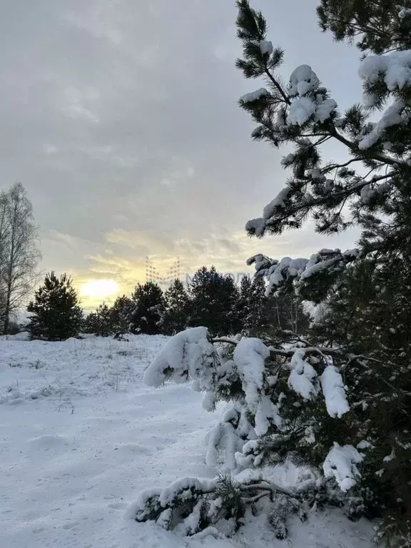 Участок в Нижегородская область, Арзамас городской округ, с. ... - Фото 0