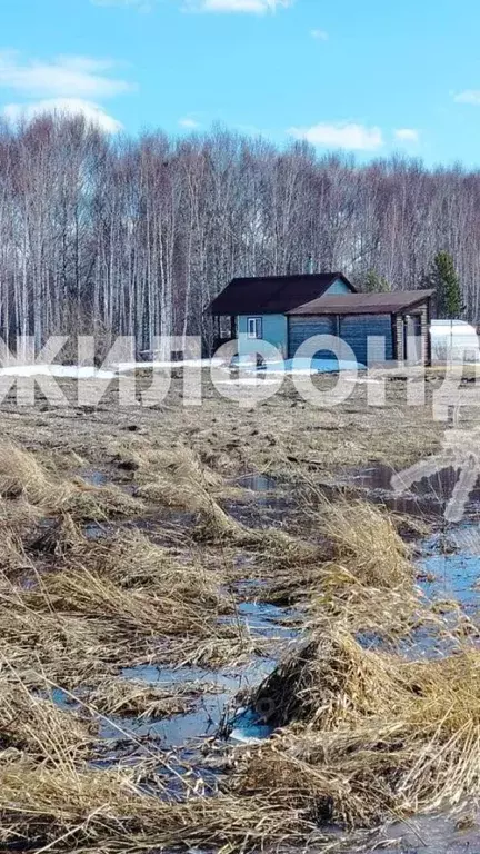 Участок в Новосибирская область, Колыванский район, Проектировщик СНТ  ... - Фото 1