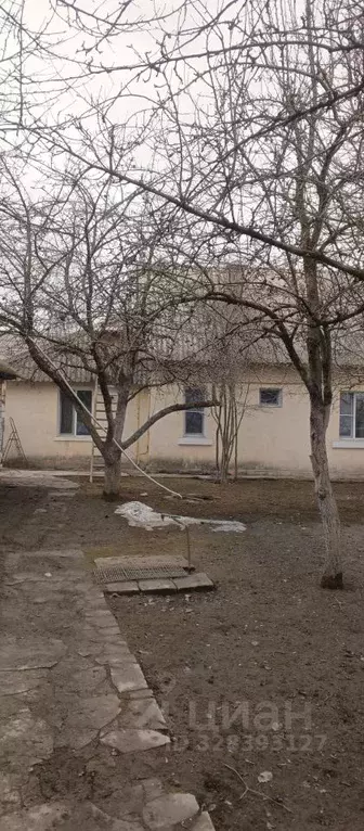 3-к кв. Брянская область, Фокино ул. Мира, 18 (83.0 м) - Фото 2