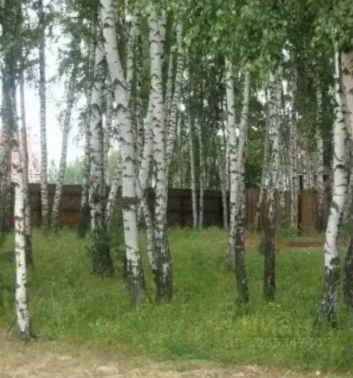 Участок в Татарстан, Казань Сирень-ГИПО СНТ, 2-й кв-л,  (8.0 сот.) - Фото 1