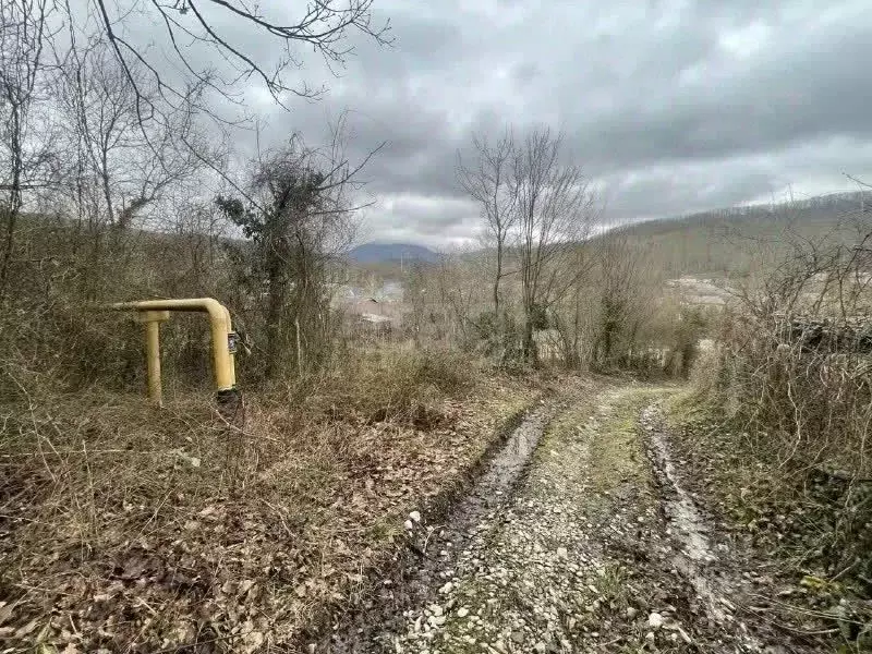 Участок в Краснодарский край, Геленджик городской округ, с. Пшада  ... - Фото 2