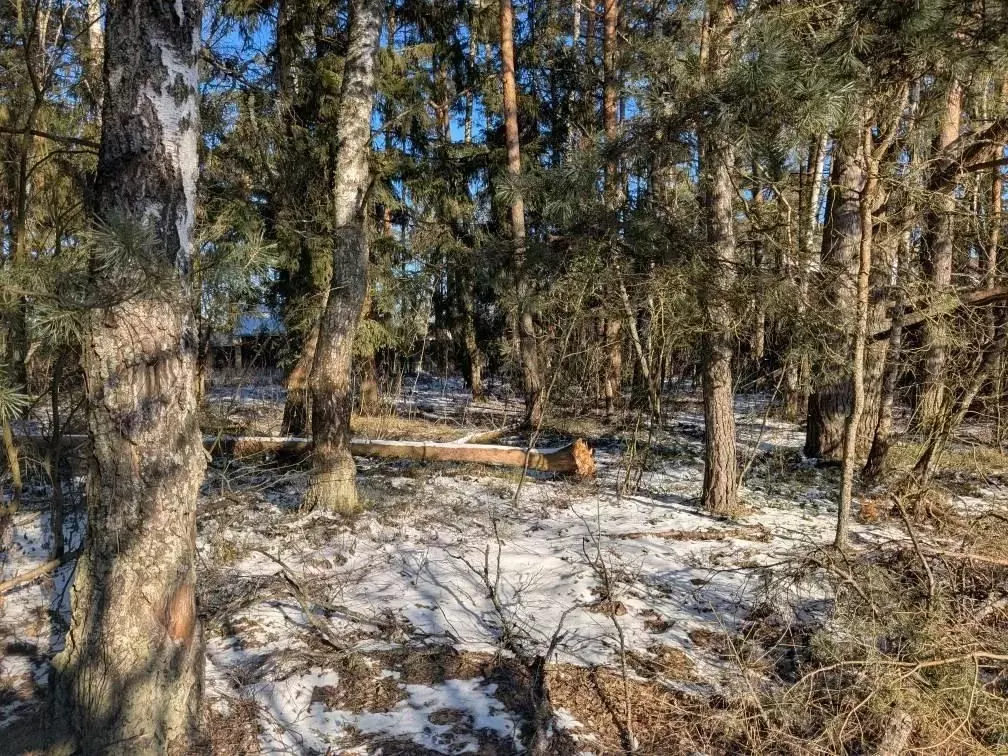 Участок в Московская область, Щелково городской округ, д. Протасово  ... - Фото 0