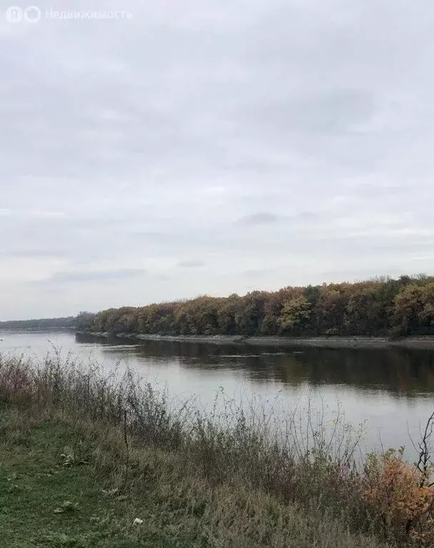 Участок в хутор Вишневецкий, Набережная улица (10 м) - Фото 0